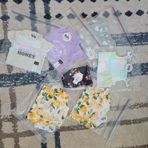 Lot of 3-6 month baby girl clothes, nwt